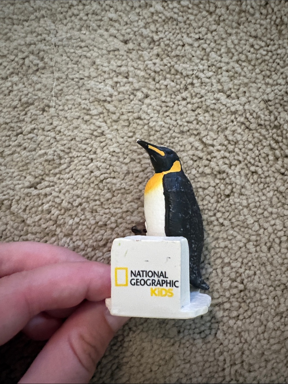 National Geographic Kids: Penguin Tonie